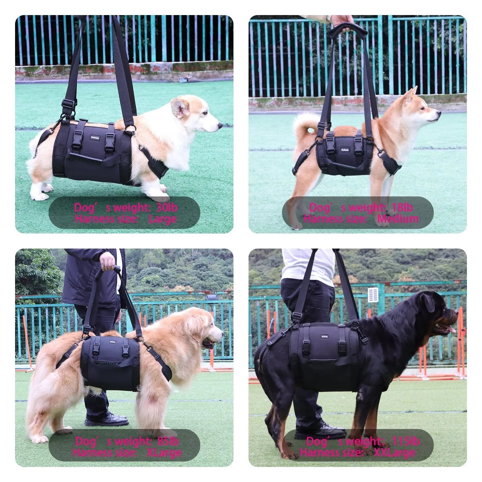 Black Oxford cloth dog rehabilitation harness with breast strap and leg support shown on dog