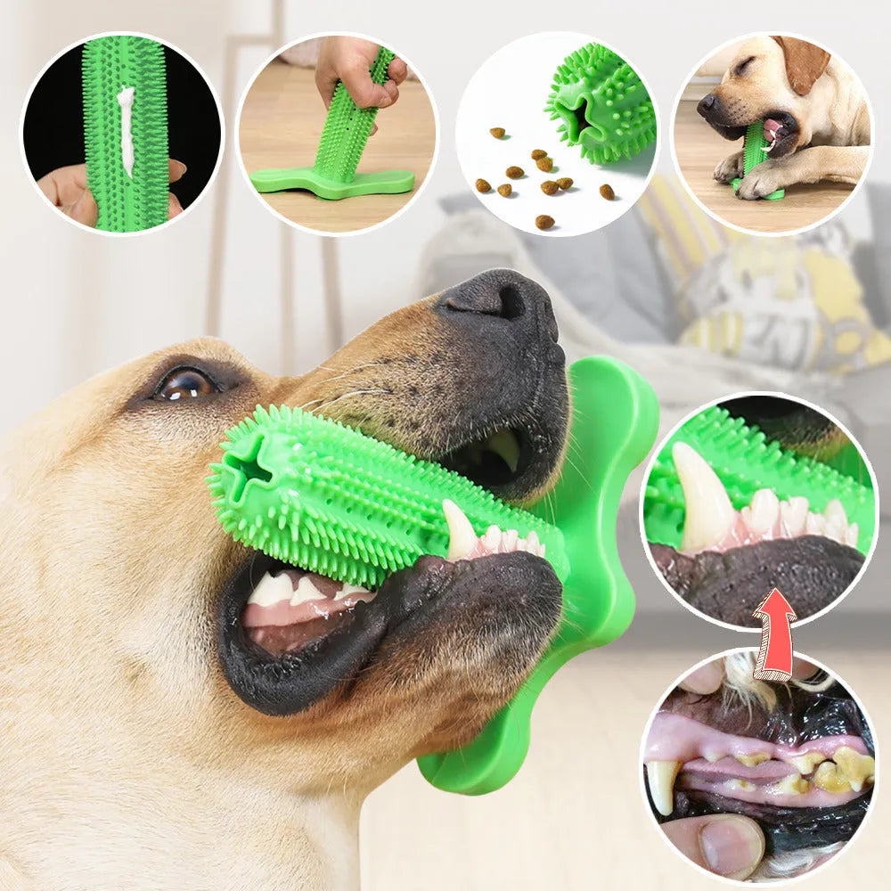 Green TPR dog chew toy with small and large molar rods and suction cup base