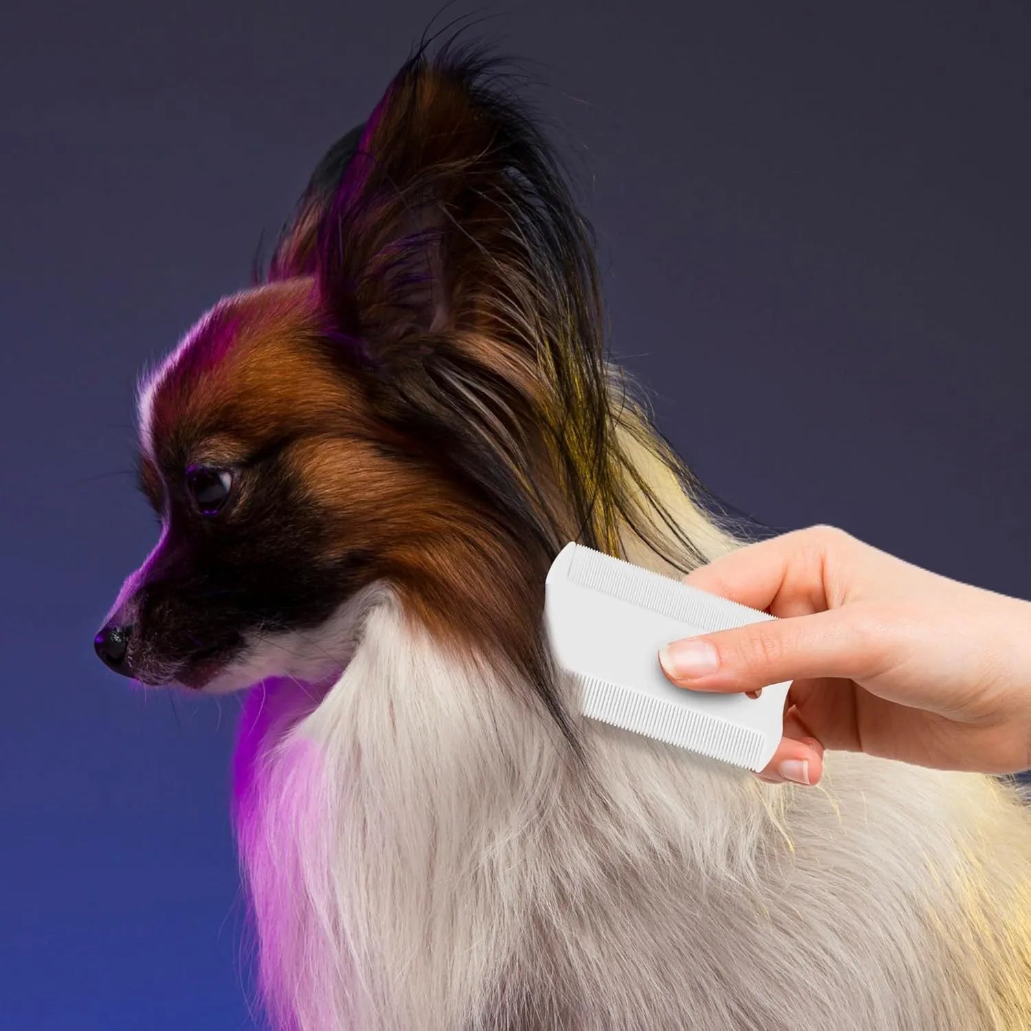 Double-sided pet flea comb with dense teeth design for dogs and cats